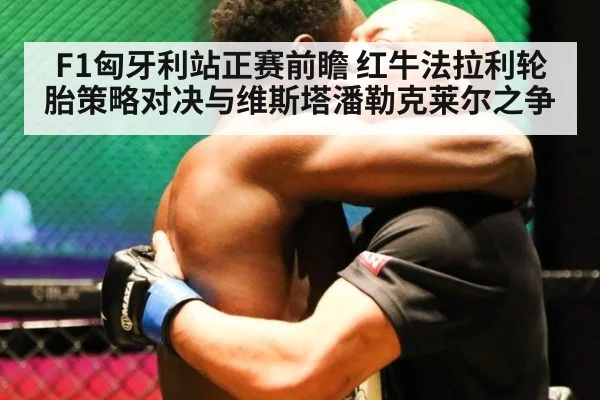 F1匈牙利站正赛前瞻 红牛法拉利轮胎策略对决与维斯塔潘勒克莱尔之争